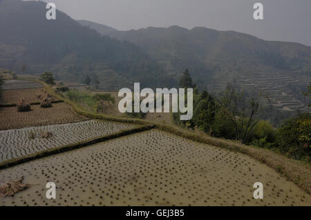 Les champs de riz dans les montagnes jusqu'au-dessus du petit village de Dong dans la province du Guizhou, en Chine compilation juste-à-temps. Banque D'Images