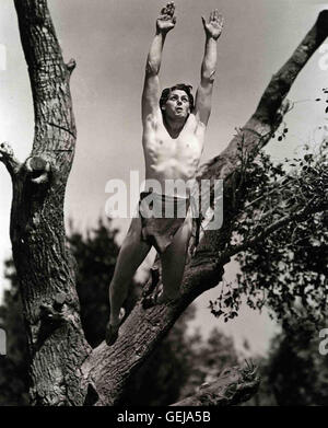 Johnny Weissmüller *** *** 1939 légende locale, Tarzan trouve un fils, Tarzan und sein Sohn Banque D'Images