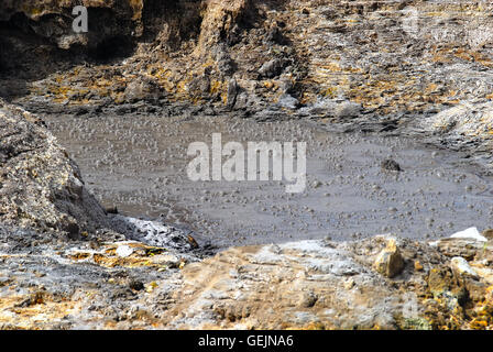 Campi Flegrei, Campanie, Italie. Volcan Solfatara. Le bubbing de boue est constituée par l'eau de pluie et la condensation de vapeur, qui mélange avec l'argile matériel type présent sur la surface du volcan cratère. La composition du gaz qui crache de la boue varie (H2S, N2O, H2O, CH4, IL). La température est d'environ 170°. Banque D'Images