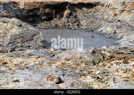 Campi Flegrei, Campanie, Italie. Volcan Solfatara. Le bubbing de boue est constituée par l'eau de pluie et la condensation de vapeur, qui mélange avec l'argile matériel type présent sur la surface du volcan cratère. La composition du gaz qui crache de la boue varie (H2S, N2O, H2O, CH4, IL). La température est d'environ 170°. Banque D'Images