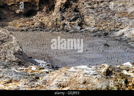 Campi Flegrei, Campanie, Italie. Volcan Solfatara. Le bubbing de boue est constituée par l'eau de pluie et la condensation de vapeur, qui mélange avec l'argile matériel type présent sur la surface du volcan cratère. La composition du gaz qui crache de la boue varie (H2S, N2O, H2O, CH4, IL). La température est d'environ 170°. Banque D'Images