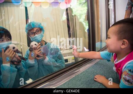 Macao, Chine. 26 juillet, 2016. Un enfant regarde grand panda oursons Dabao (L) et Xiaobao dans la Région administrative spéciale de Macao, Chine du sud, le 26 juillet 2016. La femelle panda Xinxin ici a donné naissance aux deux oursons le 26 juin. Une fête pour les deux oursons' fin de leur premier mois de vie est tenue ici mardi. Credit : Cheong Kam Ka/Xinhua/Alamy Live News Banque D'Images