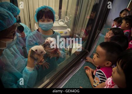 Macao, Chine. 26 juillet, 2016. Les enfants regarder grand panda oursons Dabao (L) et Xiaobao dans la Région administrative spéciale de Macao, Chine du sud, le 26 juillet 2016. La femelle panda Xinxin ici a donné naissance aux deux oursons le 26 juin. Une fête pour les deux oursons' fin de leur premier mois de vie est tenue ici mardi. Credit : Cheong Kam Ka/Xinhua/Alamy Live News Banque D'Images