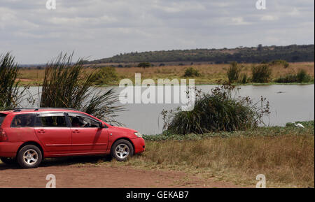 (160727) -- NAIROBI, 27 juillet 2016 (Xinhua) -- Les touristes conduisant leur propre voiture visiter le Parc National de Nairobi à Nairobi, capitale du Kenya, le 26 juillet 2016. Le Kenya a enregistré un minimum d'animaux à attaquer sur les humains à l'intérieur des parcs et réserves de chasse grâce à de solides mesures qui incluent une plus grande vigilance et de la sensibilisation du public, un fonctionnaire a déclaré mardi. (Xinhua/Li Baishun) (wjd) Banque D'Images