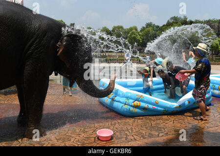 Hangzhou, Chine, Province de Zhejiang. 27 juillet, 2016. Un éléphant interagit avec les touristes au milieu de la chaleur d'été à Hangzhou, capitale de la Chine de l'est la province du Zhejiang, le 27 juillet 2016. Credit : Huang Zongzhi/Xinhua/Alamy Live News Banque D'Images