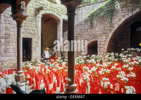 La Pabordia palace, carrer Escales de la Pera 4, pendant les "Temps de flors', exposition de fleurs annuelles, Gérone. La Catalogne, Espagne. Banque D'Images