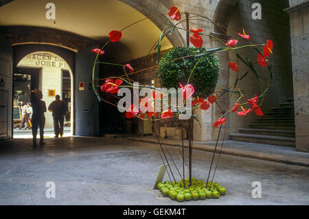 Centre de la culture de la Generalitat, carrer ciutadans 18, pendant les "Temps de flors', exposition de fleurs annuelles, Gérone. La Catalogne, Spa Banque D'Images