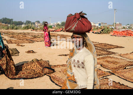 Sanganer, Inde - Janvier 2013. Une femme indienne dans un champ rempli de block imprimé de tissu séchant au soleil. Banque D'Images