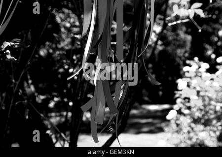 Blackandwhite,adorable,waldisputninsphotography,géométrie,art,abstrait,Black,moody,creative,nostalgie,mélancolie,amour,minimalisme Banque D'Images