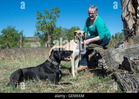 Femme dans le parc avec ses deux grands danois Banque D'Images