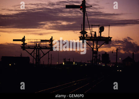 Sentinelles Banque D'Images
