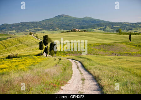 Val d'Orcia, Tuscany Banque D'Images