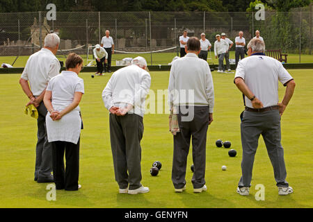 Royaume-uni, Angleterre, Devon, Greenbottom, Guanaco plaisir, les joueurs de boules Banque D'Images