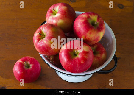 Honey Crisp les pommes dans une passoire Banque D'Images