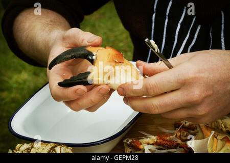 Portrait d'un chef de la préparation d'un crabe. Banque D'Images