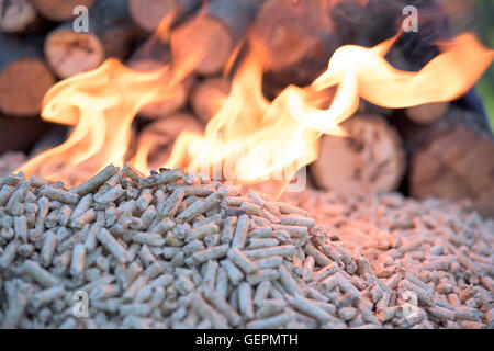 Granulés de bois de chêne dans les flammes et la fumée Banque D'Images