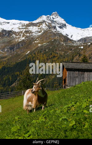 Géographie / voyage, Autriche, Tyrol, Dichtenkogel, Felber Tauern, Matrei, Banque D'Images