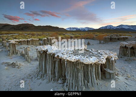 Géographie / voyages, USA, Californie, sable, plage de la Marine de tuf, Mono Lake, l'Est de la Sierra, Banque D'Images