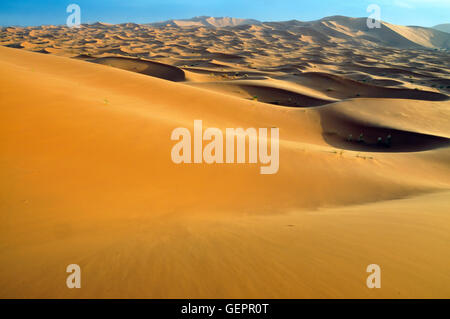 Géographie / voyages, le Maroc, l'Erg Chebbi, dunes, Banque D'Images
