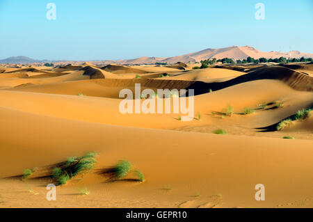 Dunes Erg Chebbi Banque D'Images