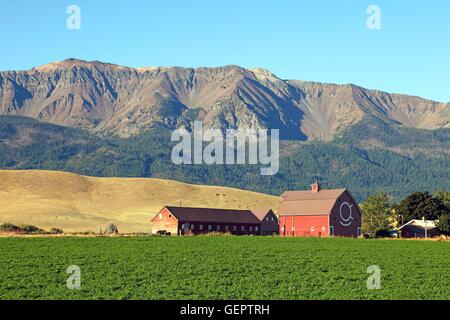 Géographie / voyages, USA, New York, Red Barn, Joseph, de la vallée de Wallowa, Banque D'Images