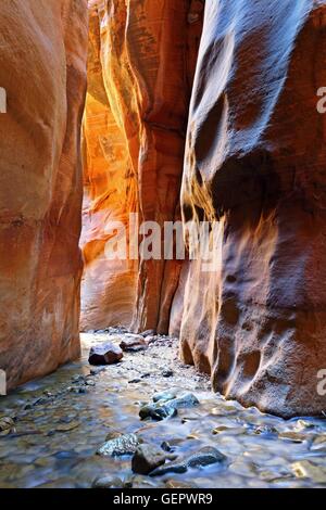 Géographie / voyages, USA, Utah, Kanarra Creek, Kanarraville, Banque D'Images