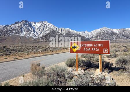 Géographie / voyages, USA, Californie, Whitney Portal Road, Alabama Hills, Lone Pine, l'Est de la Sierra, l'ours, pancarte, Banque D'Images
