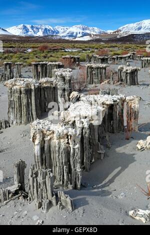 Géographie / voyages, USA, Californie, sable, plage de la Marine de tuf, Mono Lake, l'Est de la Sierra, Banque D'Images