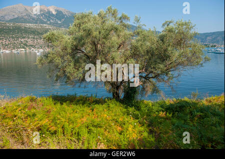 Le village de Geni / Nidri à Lefkada, Grèce Banque D'Images