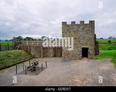 Fort romain de Vindolanda, Northumberland : réplique s'étend du mur d'Hadrien, avec tourelle en pierre, parapet crénelé & wall-walk & gazon mur. Banque D'Images