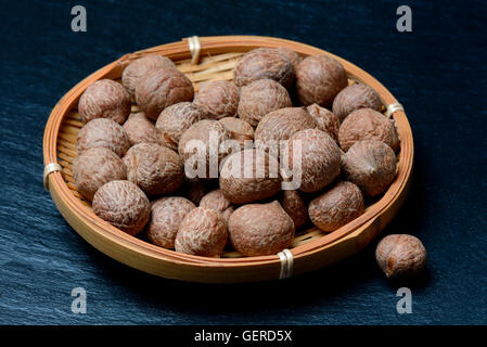 Coquito, Coquitos, Jubaea chilensis, chilenischen Honigpalme der Samen, Mini-Kokosnuss Kokosnuesschen, Banque D'Images