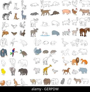 Vector illustration d'un jeu de différents animaux Illustration de Vecteur