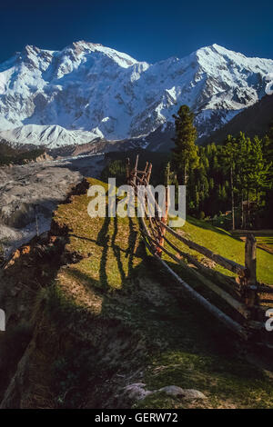 Conte de prairie avec une vue sur la montagne Nanga Parbat massive dans la gamme Karakorum, au Pakistan Banque D'Images