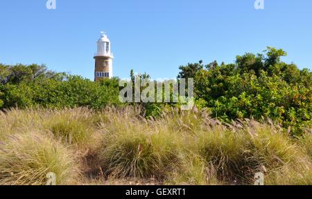 Woodman Point Lighthouse avec panneau solaire derrière la végétation luxuriante et les herbes fontaine pourpre dans l'ouest de l'Australie. Banque D'Images