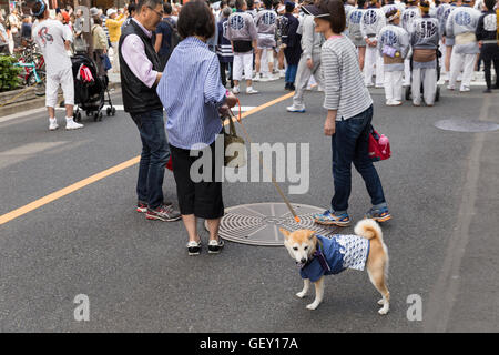 Trois personnes et un chien dans un manteau traditionnel réunion dans une rue latérale, au cours du sanja matsuri 2016. Asakusa, Tokyo, Japon Banque D'Images