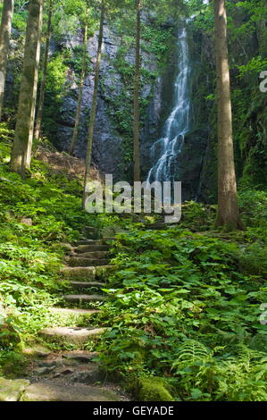 Géographie / voyage, Allemagne, Bade-Wurtemberg, Wolfach, Burgbach Cascade, forêt noire, Banque D'Images