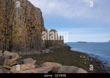 Colonnes de basalte rock formation sur côte, Stykkisholmur, Islande Banque D'Images