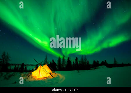 Tente de trappeurs illuminé avec aurora borealis, northern lights, parc national de Wapusk, Manitoba, Canada. Banque D'Images