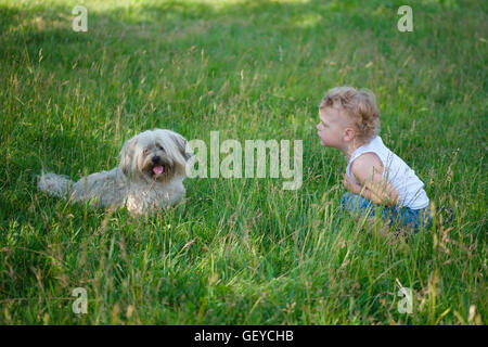 Garçon avec shaggy dog en parc d'été Banque D'Images