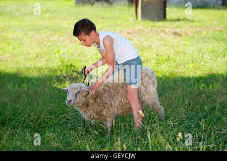 Garçon avec des moutons dans le village Banque D'Images