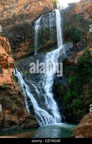 Witpoortjie Cascade, Walter Sisulu National Botanical Gardens, Pretoria, Johannesburg, Gauteng, Afrique du Sud, 11/06/2011 Banque D'Images