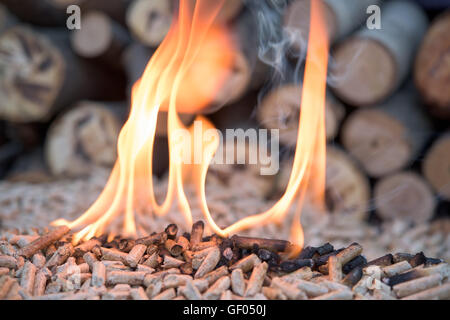 Granulés de bois en flammes infront tas de bois Banque D'Images