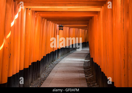 Red Torii de Fushimi Inari Shrine, Kyoto, Japon Banque D'Images