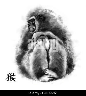 Peinture encre oriental singe avec 'Monkey' hiéroglyphe chinois. Assis gibbon. Isolé sur fond blanc. Banque D'Images