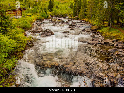 Trollistigen, rivière, parc national de Reinheimen. La Norvège, Scandinavie, Européenne Banque D'Images