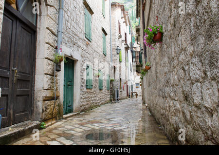 Ruelle vide fait de rues pavées de la vieille ville dans la ville de Kotor, Monténégro Banque D'Images