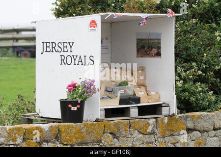 Un blocage des routes nouvelles pommes Royal Jersey vente,St.Ouen,Jersey,Channel Islands Banque D'Images