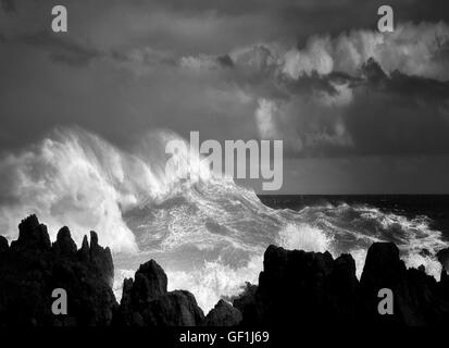 Le fracas des vagues à Laupahoehoe Point. Hawaii, l'île. La grande île. Banque D'Images