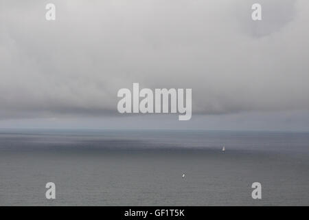 Le brouillard roulant sur mer vers la terre, falaises de Bempton, Yorkshire, UK. Banque D'Images