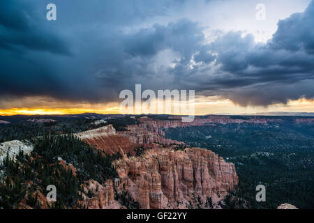 Rainbow Point au cours d'un orage, Bryce Canyon National Park, Utah, USA Banque D'Images